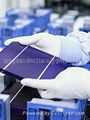 5*5 monocrystalline solar cell  3