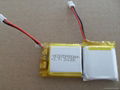 li-polymer battery factory  1