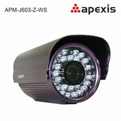 Security zoom Surveillance IP Camera