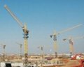 QTZ 80 tower cranes