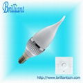 3W Dimmable LED Bulb  4