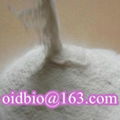 Sodium Carboxymethyl Cellulose 1