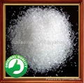 Magnesium Sulphate