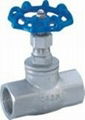 Female Threaded Globe Valve