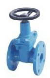 Ductile/Cast Iron Gate Valve