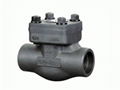 Forged lift check valve (800LB) 1