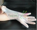 Disposable TPE Glove