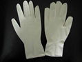 Latex Exam Gloves 1