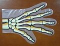 Disposable PE gloves 3
