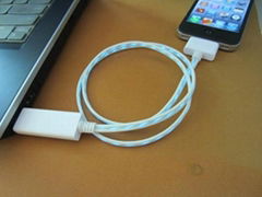 iPhone Visible flashing USB cable