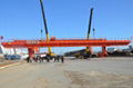 electric hoist gantry Crane