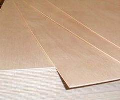 plywood