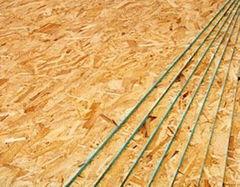 oriented strand board