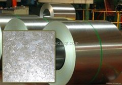 Prime hot dipped ga  anized steel sheet in coil