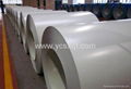 Prepainted galvanised steel PPGI