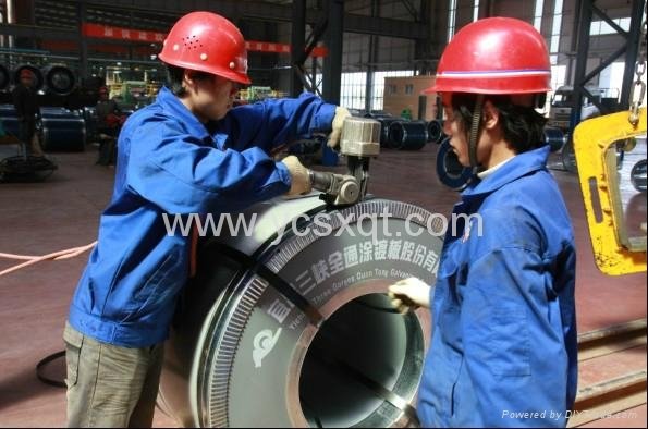 PVC coated steel coil 4