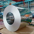 Hot dipped galvanized steel coil/gi/zinc coated steel coil 1