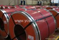 Color steel coil  2