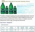 Sparkling  Natural Mineral Water