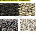 Vietnamese White & Black Pepper