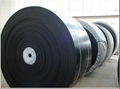 nylon conveyor belt、