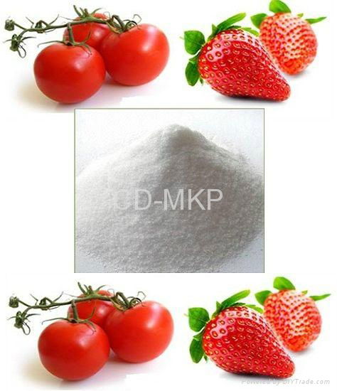 Mono Potassium Phosphate  Fertilizer (MKP 0-52-34)