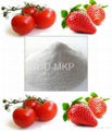 Mono Potassium Phosphate  Fertilizer (MKP 0-52-34) 1