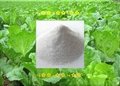 Mono Potassium Phosphate (Fertilizer Grade) 2