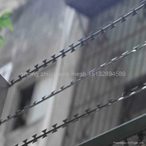 concertina wire,razor barbed wire,razor wire 3