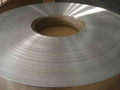 aluminium brush strip 3