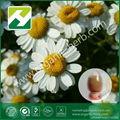 Feverfew extract