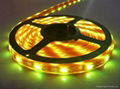 Waterproof 30leds SMD 5050 flexible led strip led ribbon light