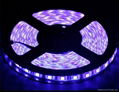 12V/24V 60LEDs/M SMD 5050 led strip,led Christmas light 2