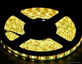 12V/24V 60LEDs/M SMD 5050 led strip,led Christmas light 3