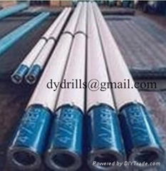 downhole motor