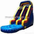 2012 hot sales inflatable dry slides 5