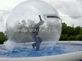 inflatable water walking ball  5