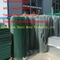 factory supply low price pvc coated welded wire mesh 3