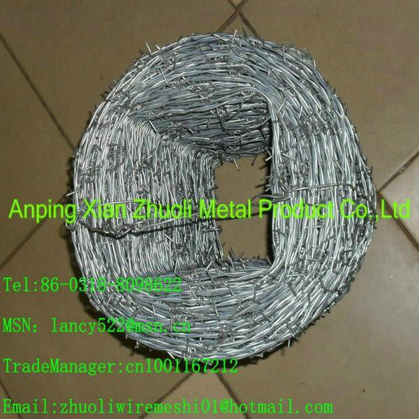 supply high tensile securitive barbed wire mesh for prison