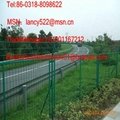 high quality stainless steel wire mesh fence in Anping 4