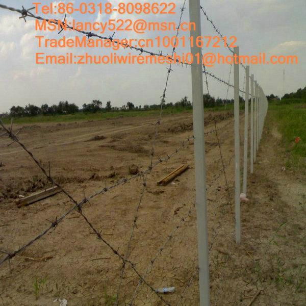 Anping factory supply galvanized barbed wire fence 2