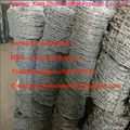 Anping factory supply galvanized barbed wire fence 3