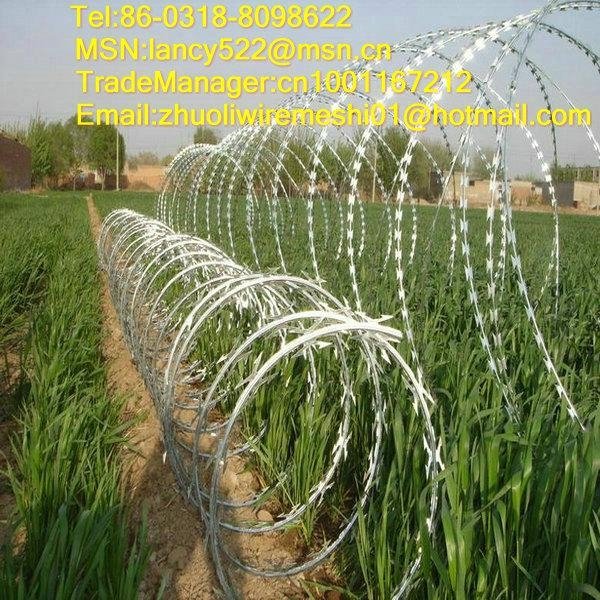 concertina barbed wire fencing wholesale in anping factory 2