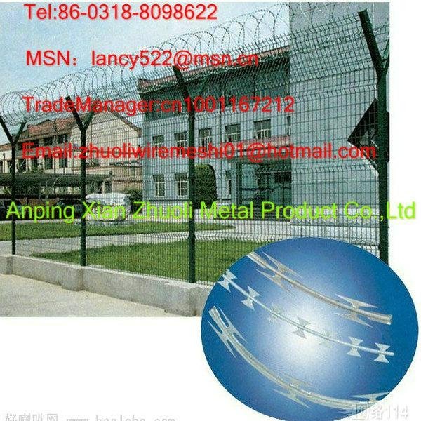 concertina barbed wire fencing wholesale in anping factory 3