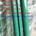 search all products of high quality garden wire mesh fence 5