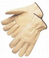 Beige Pig Skin Driving Gloves 1