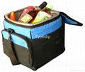 Cooler Bag