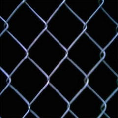 Galvanized chain link fence