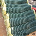 PVC chain link fence 3