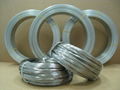 Galvanized Iron Wire 1